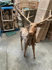 Teak driftwood stag