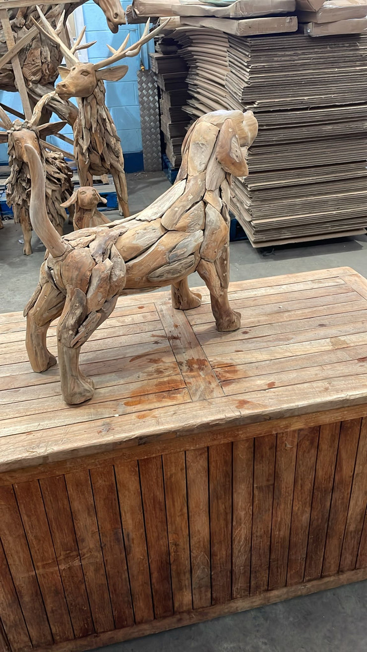 The Teak driftwood Teak Dog