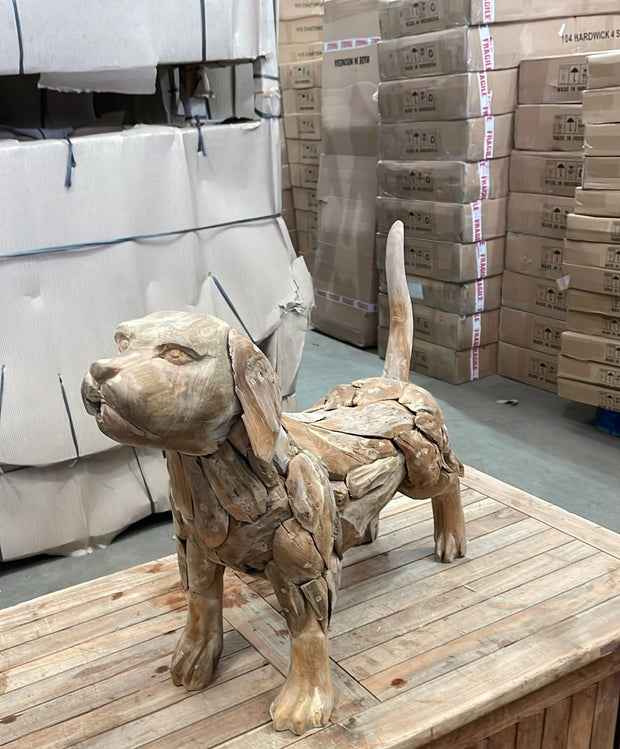 The Teak driftwood Teak Dog