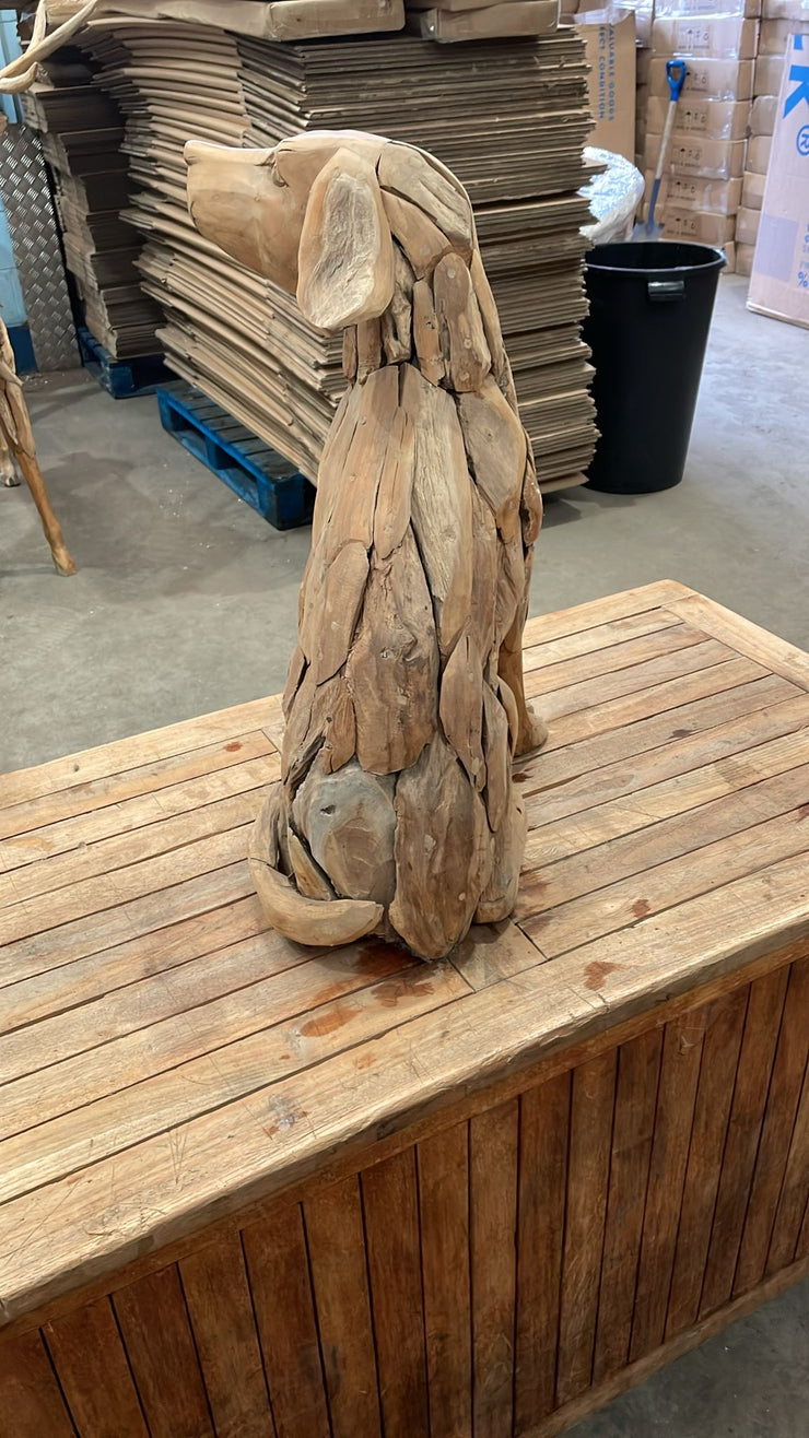 The driftwood Teak Large dog