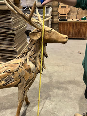 Teak driftwood stag