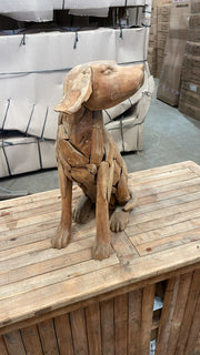The driftwood Teak Large dog