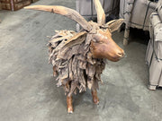 Teak  driftwood Ram