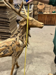 Teak driftwood stag